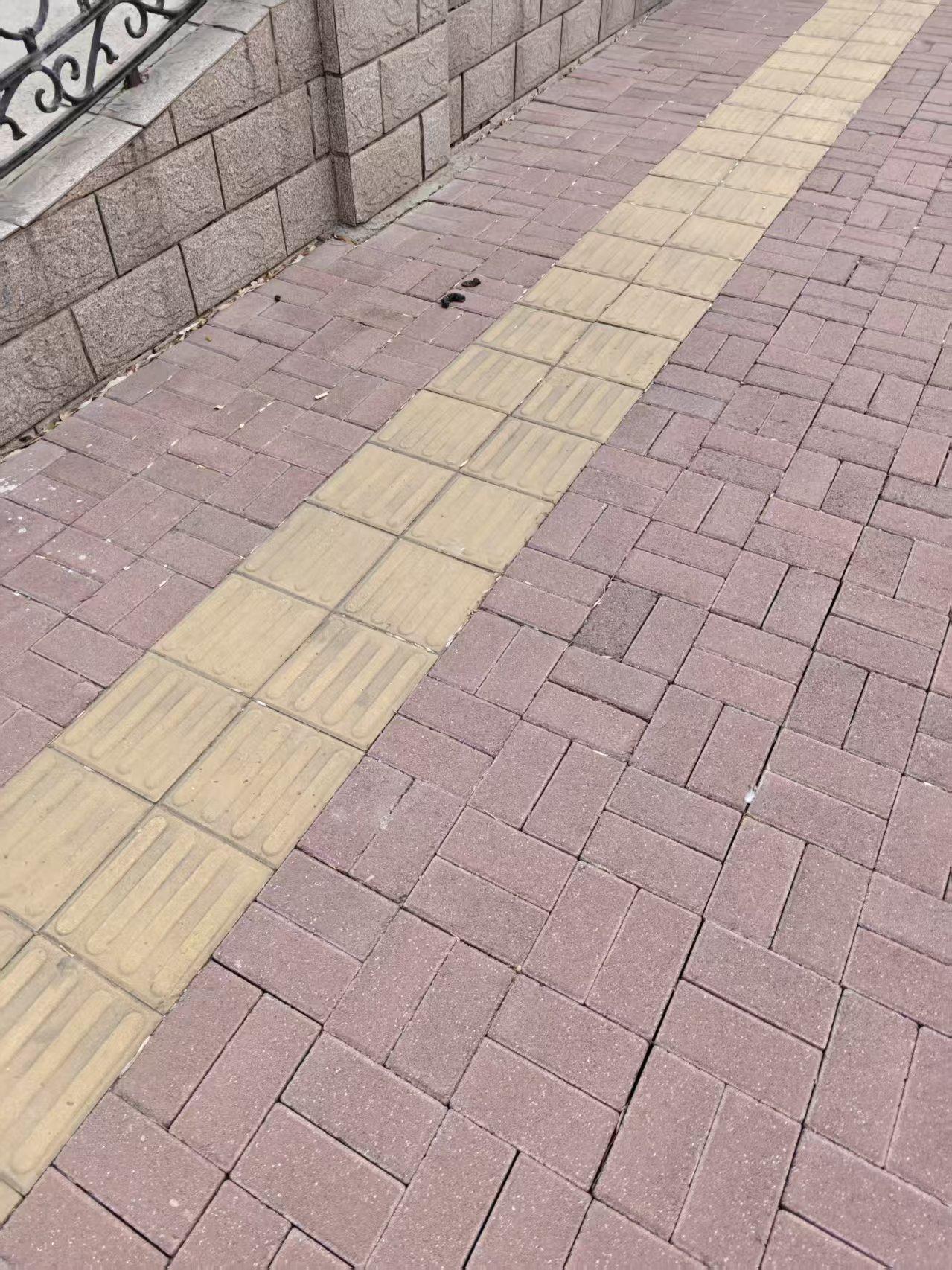 遛狗=上厕所
这是多少养狗人认为理所应当的事情。
这就是刚刚在我们小区外面拍到的