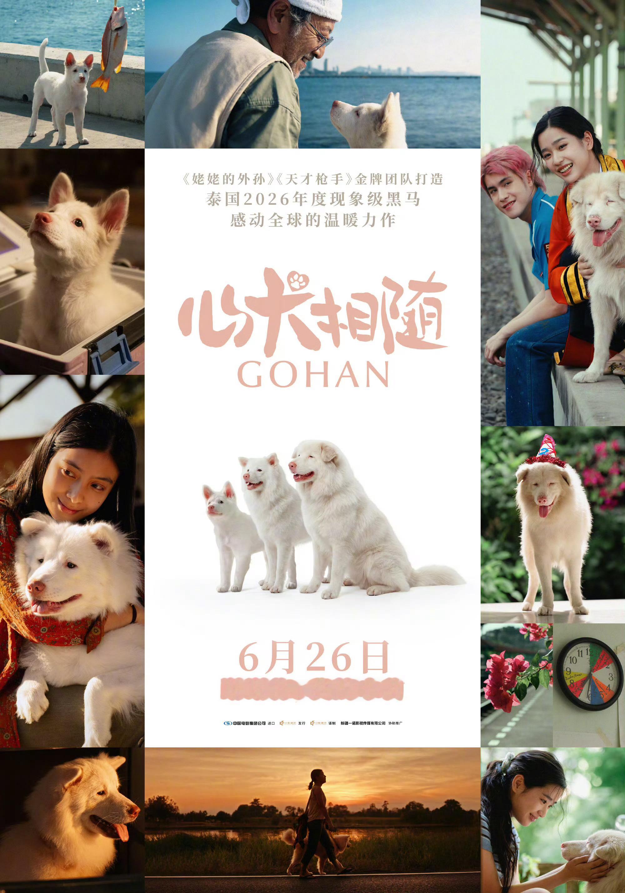 姥姥的外孙团队新作心犬相随定档 泰国2026年度黑马影片《心犬相随》定档6月26