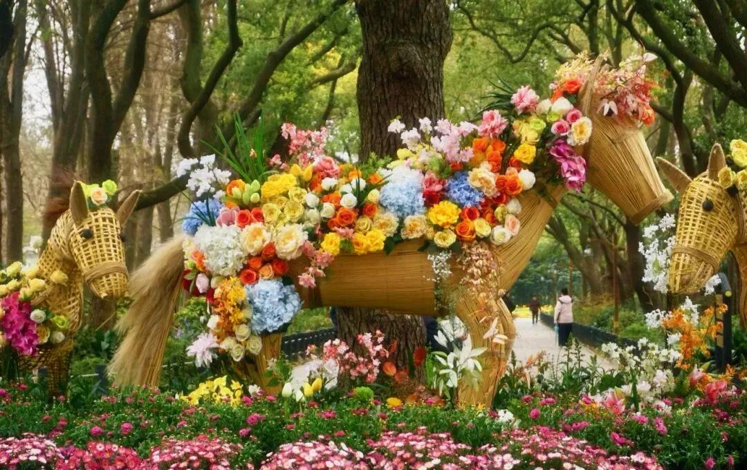 杨浦news共青森林公园【“人人人人人”……每天入园超8万人！共青森林公园“大客