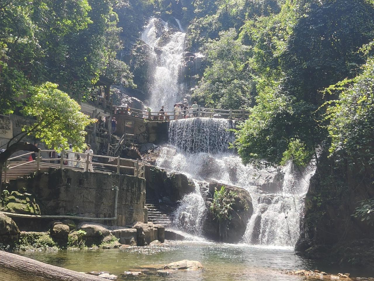 一张图证明你今年去过的地方昨天去了肇庆的鼎湖山，尽管气温很高！但鼎湖山山清水秀，