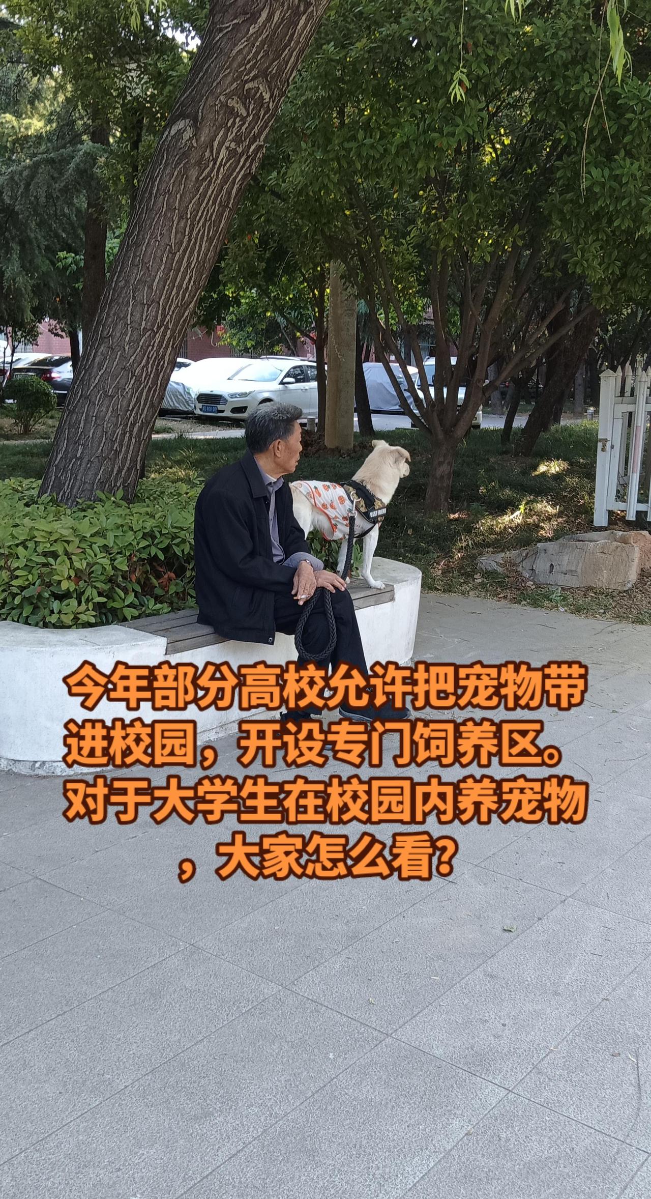 针对高校允许在校园内饲养宠物大家怎么看。先说最重要的前提
 
国内绝大多数公办本