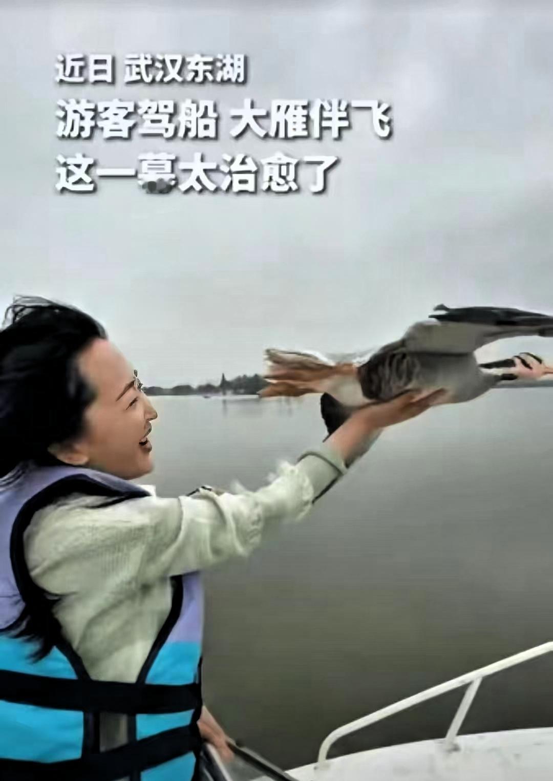 “没想到上人民日报了！”武汉，一女子驾船出海欣赏美景，突然飞来一群大雁和船并肩同