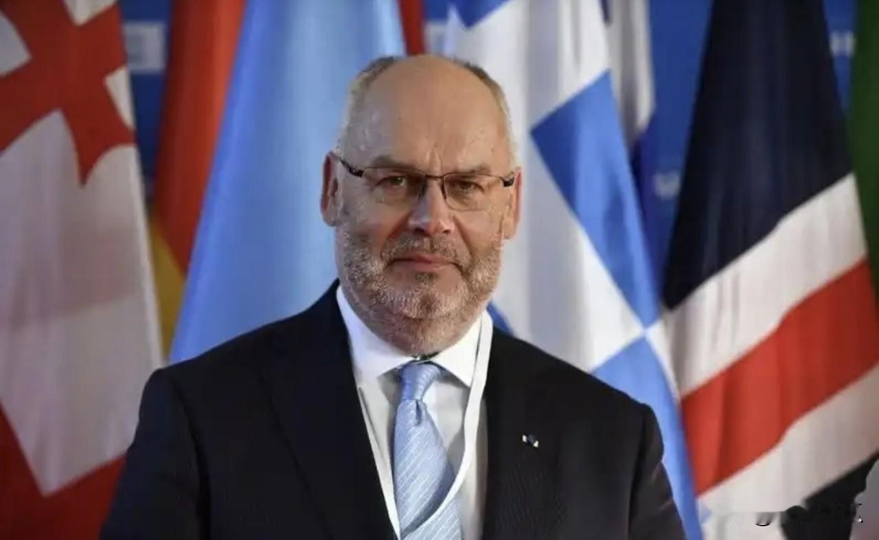 不是花自己钱不心痛，爱沙尼亚总统阿拉尔·卡里斯提议，为帮助匈牙利拒绝使用俄罗斯天