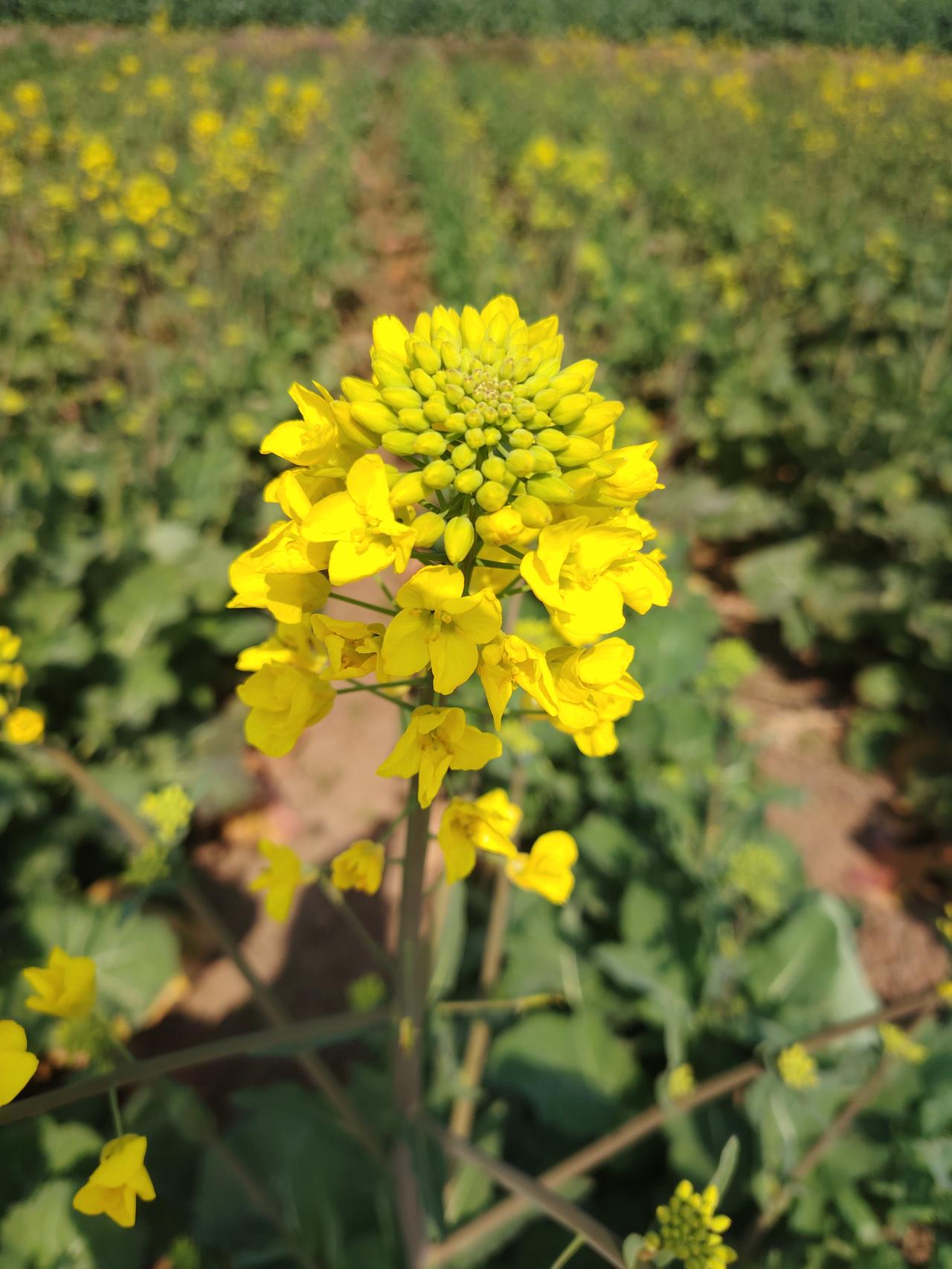 太在乎别人的看法，其实就是给自己戴了一副无形的枷锁。不仅会让自己活得特别累，同时