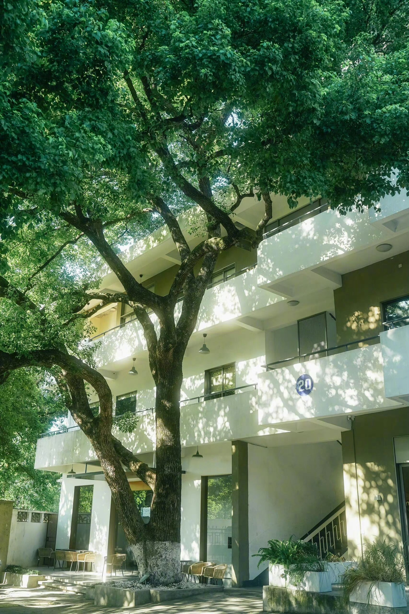 “那年夏天特别漫长，浓缩了我一整个人生。” 