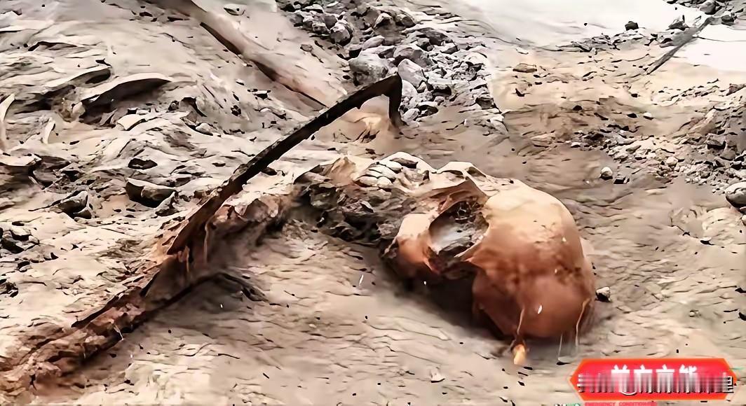 看着河南舞钢挖出来的现场图，心里真是一阵阵发紧。

1068具遗骸啊，这哪里是冷