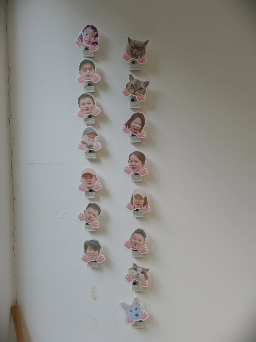 来拜访了一家美学工作室，忒对味了！ ​​​
