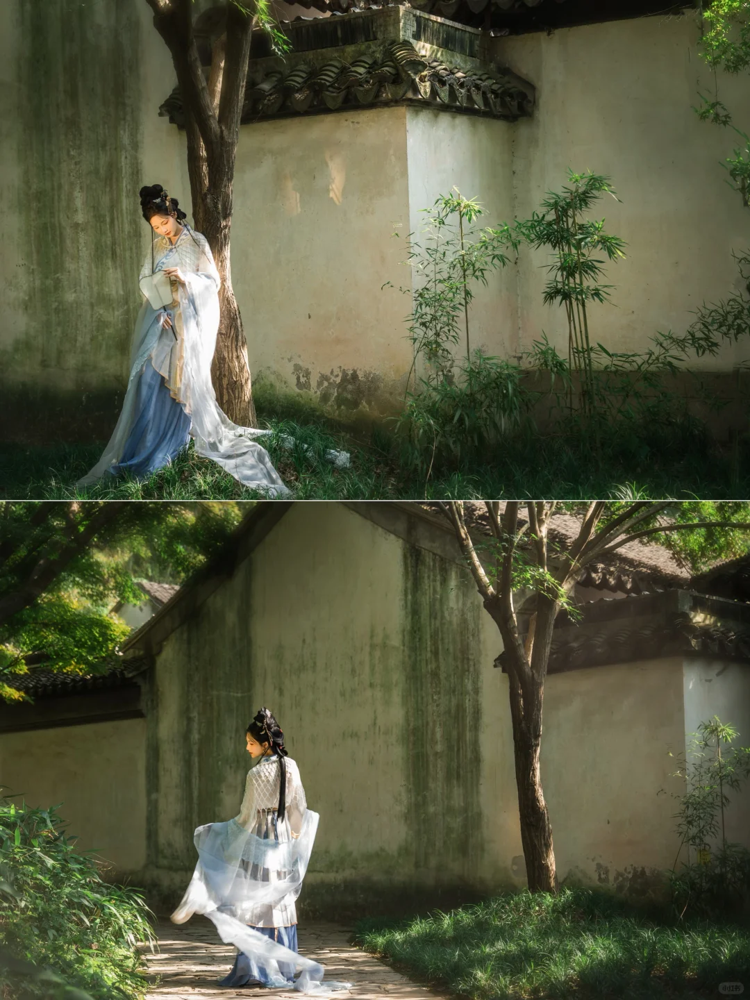 风吹树摇影动   万物都是自由诗/苏州