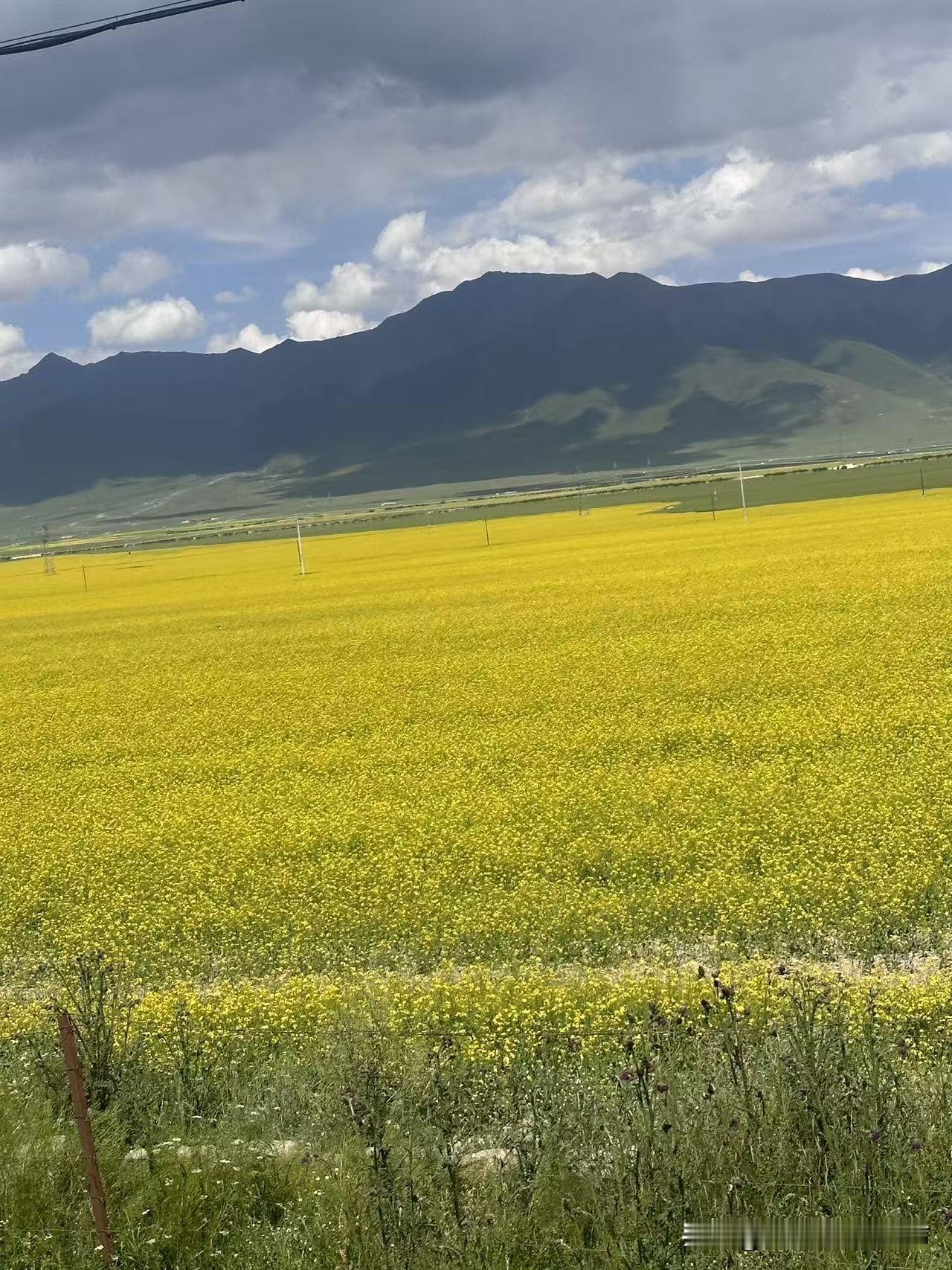 这些天忙于事务，没有写有关股市的文章，可市场行情还是按着原来看好的方向在走。
