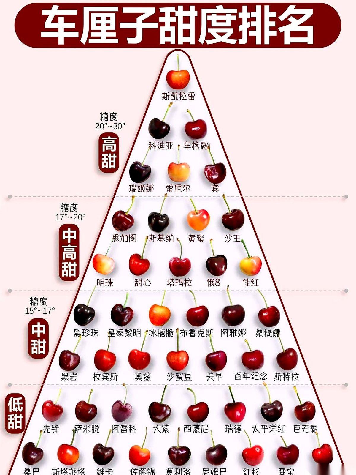 别再傻乎乎地花大价钱买车厘子了！
你以为买的是“水果爱马仕”，结果回家一尝，酸得