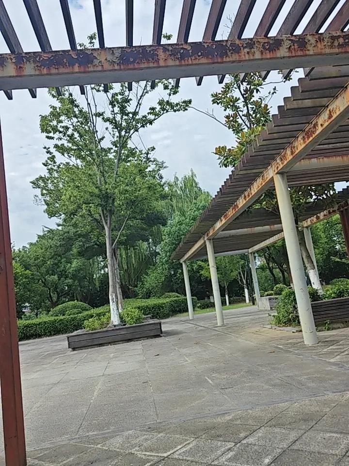 你每天排掉的不是毒，是气血和阳气！

研究了十五年养生，今天必须说点得罪人的大实