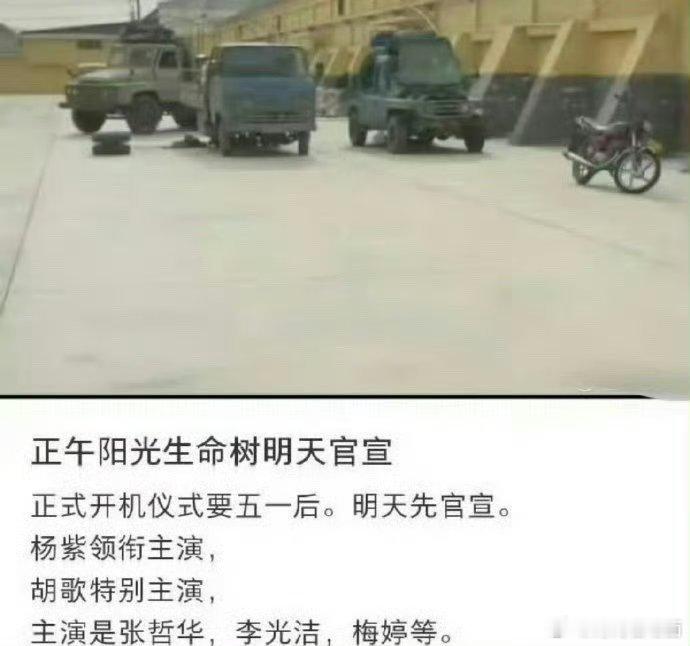 生命树或将明天官宣杨紫新剧 ​​​