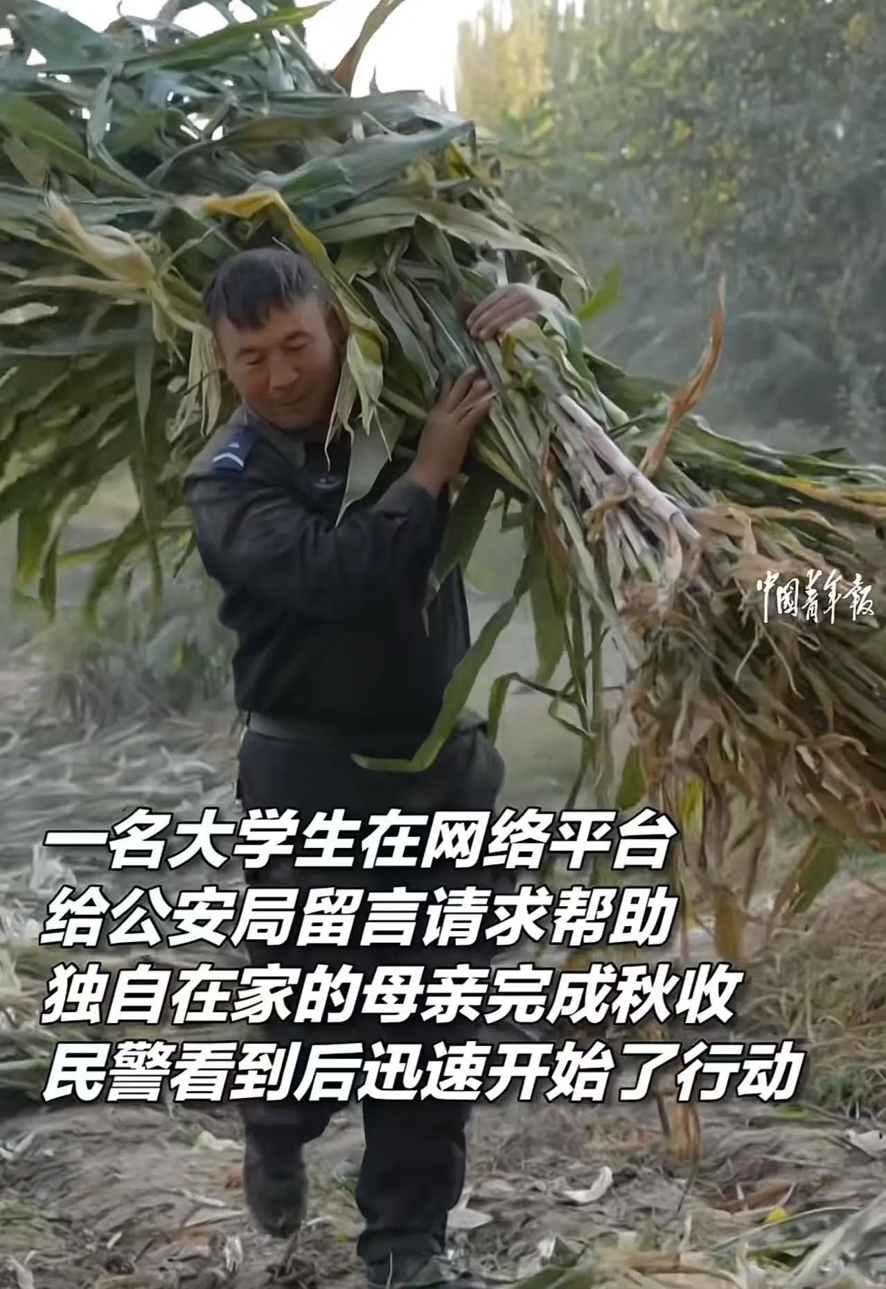 外地读大学的小李担心母亲独自秋收太累，试着给新疆于田县民警留言求助，没想到民警秒