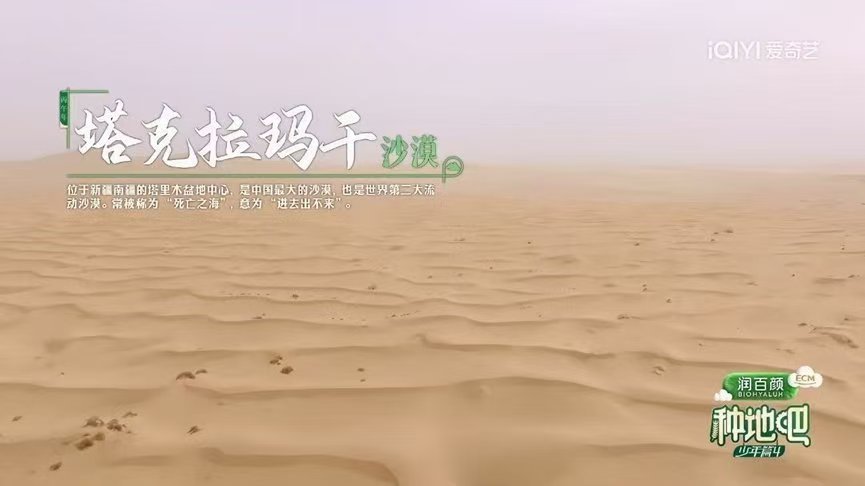  黄沙漫卷的塔克拉玛干，十个勤天躬身播种玫瑰，用汗水在荒漠浇灌出满片生机，读懂治