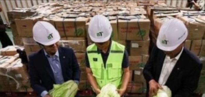 “中国要被我们拖垮了！”2024年，韩国上千人拒绝吃从中国进口的中国白菜，本想给