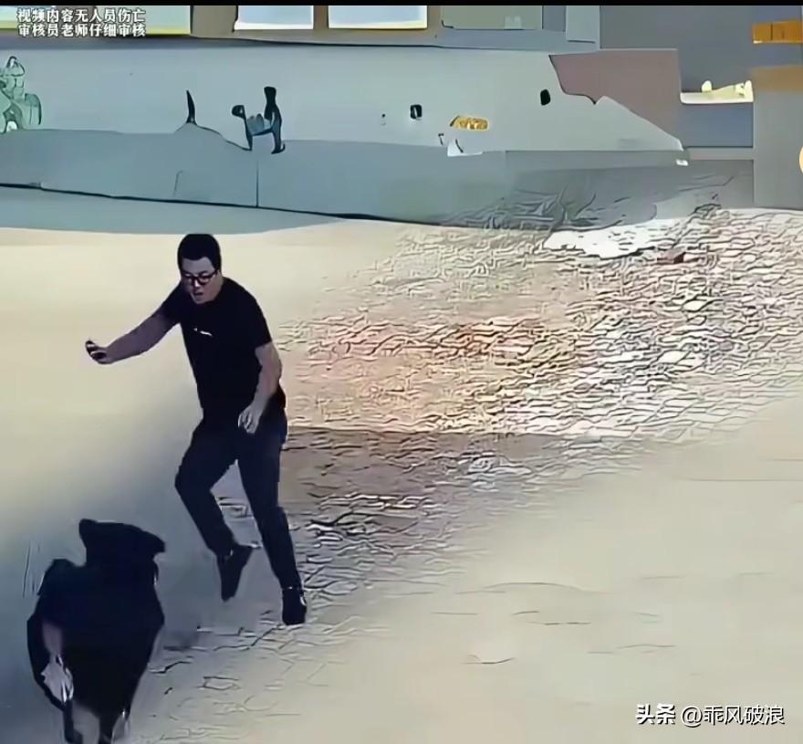 突然，一只恶狗猛地窜出，直扑向男子。男子无处可躲，避无可避，只好横下心来准备迎战