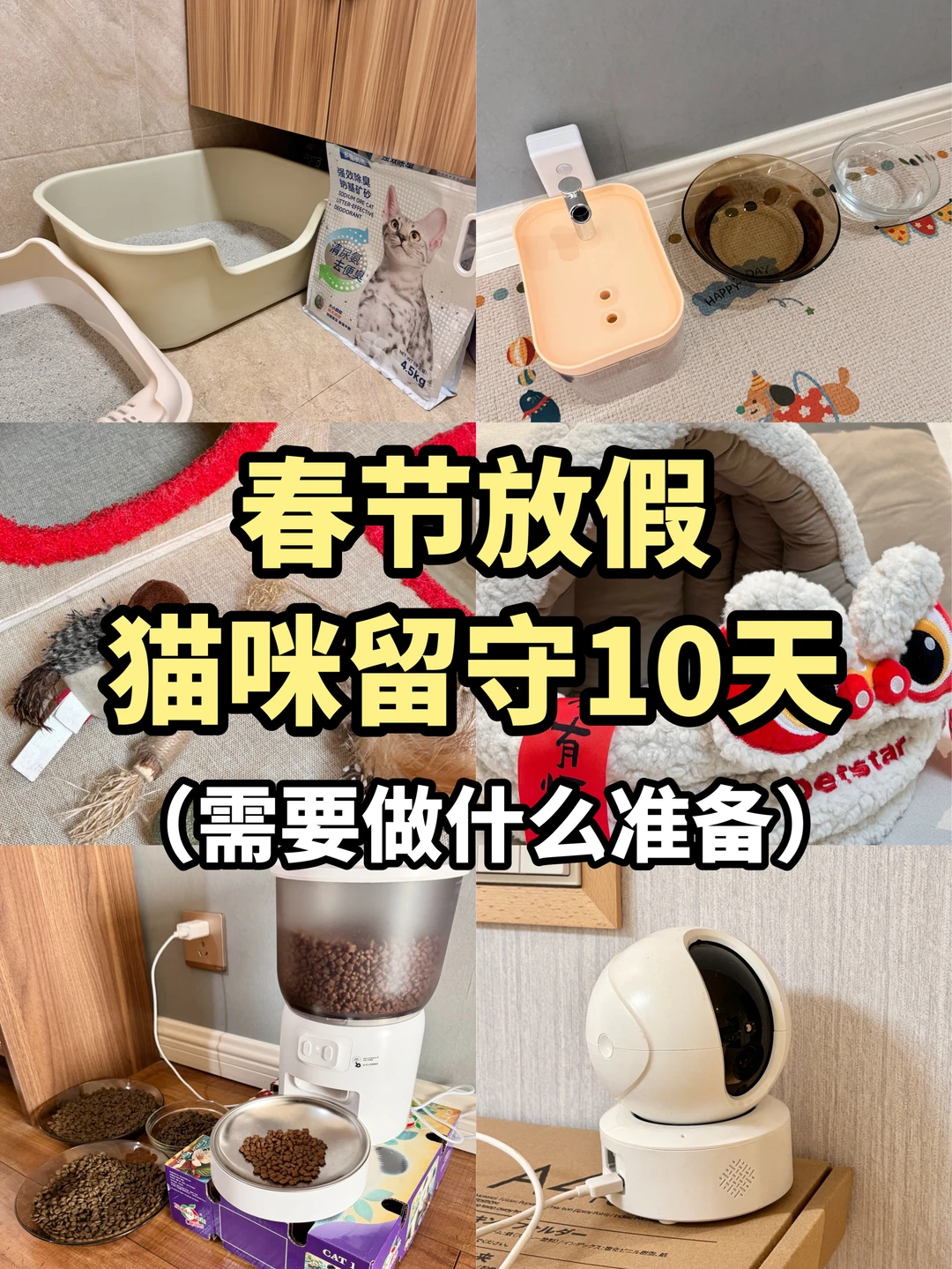 春节放假猫咪留守10天，需要做什么准备