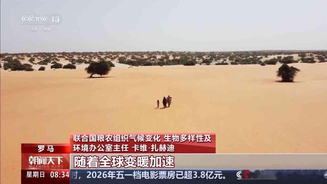 厄尔尼诺最快初夏登场！高温暴雨双暴击，今年夏天注定不一般

你以为春天刚站稳脚跟
