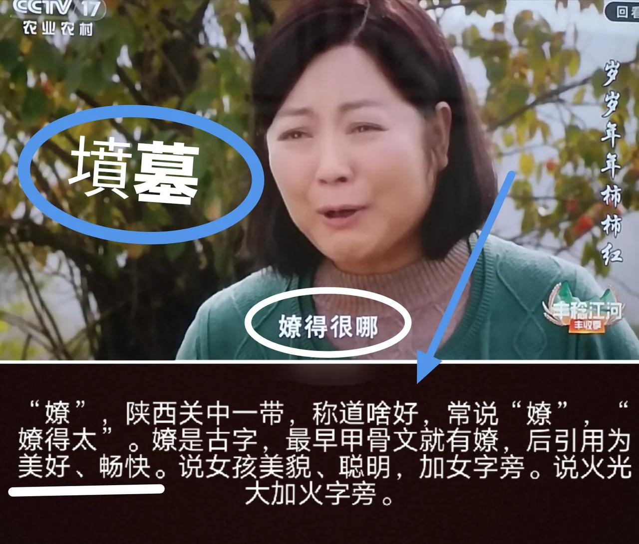 《歲歲年年柿柿紅》:“嫽得很哪”？[捂脸][笑哭][捂脸][笑哭][捂脸]