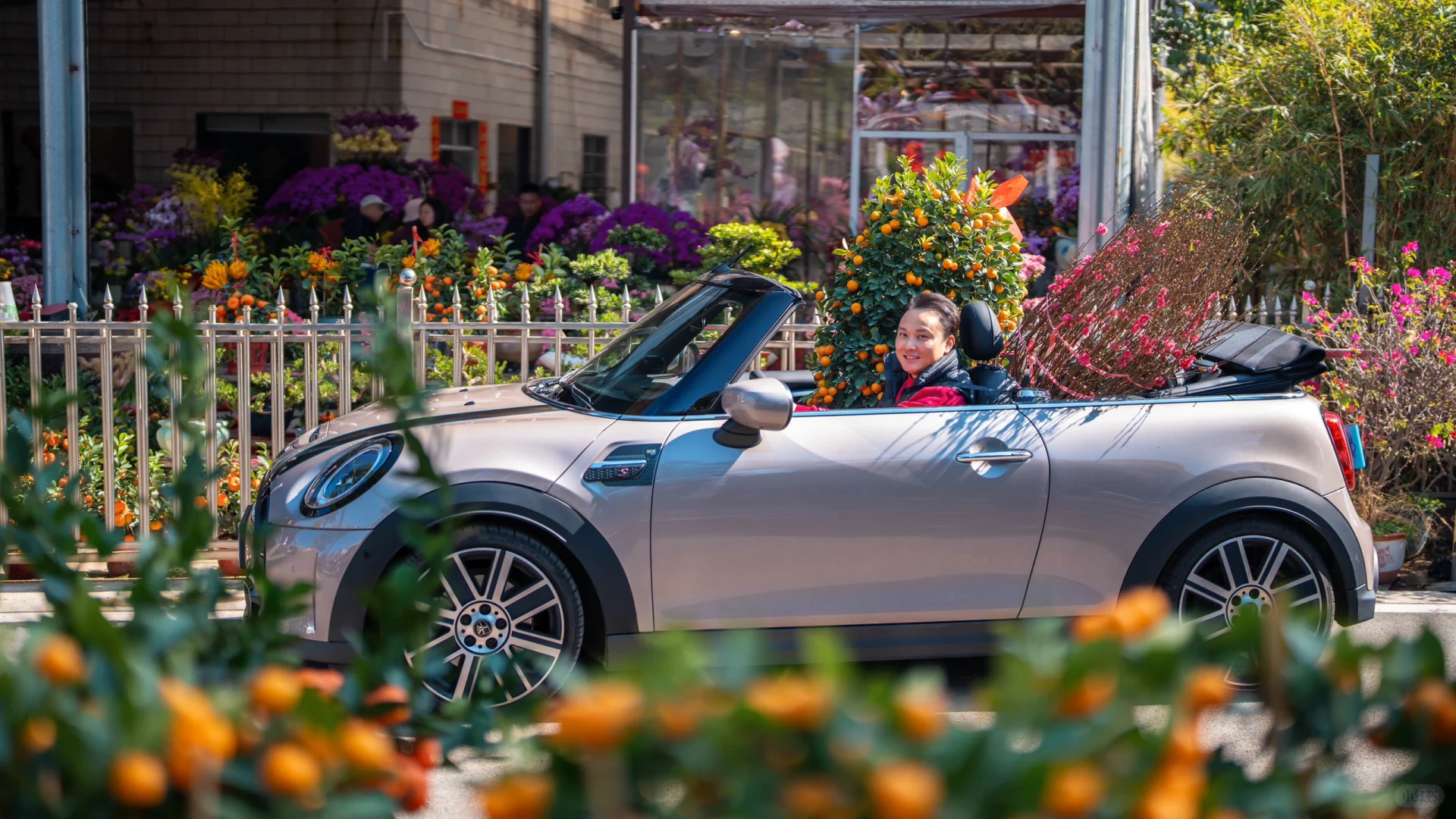 你哋买了年桔和桃花没