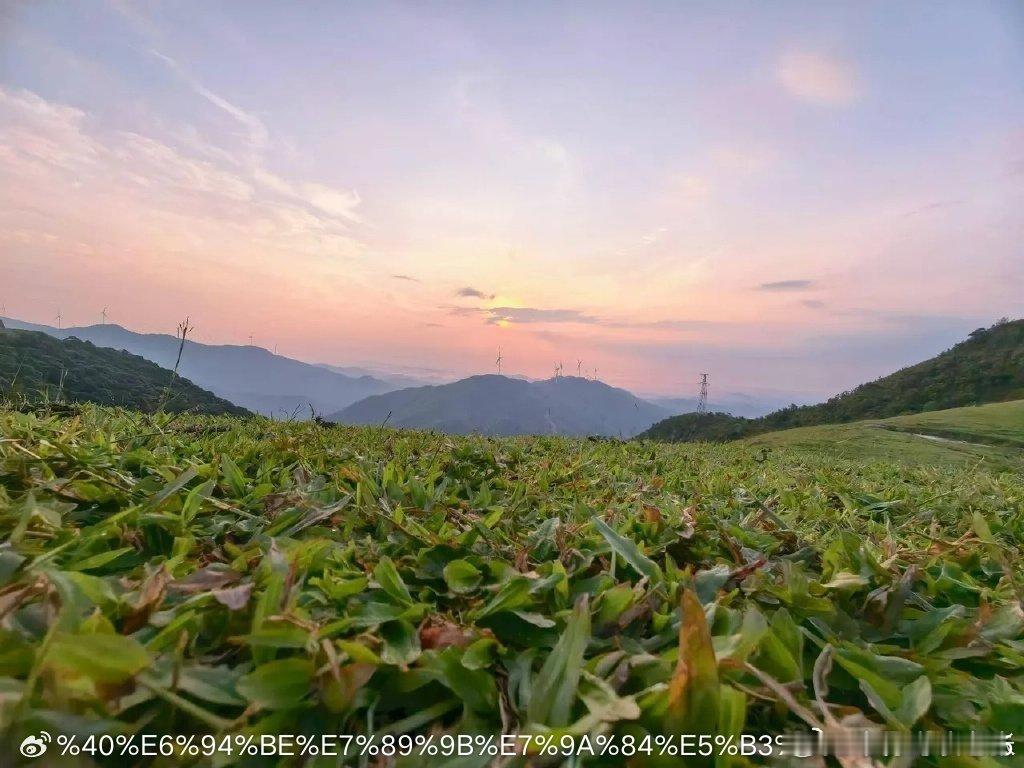 未来科技领域具备潜力的四个大发展方向：1、固态电池。新能源汽车、储能、机器人、无