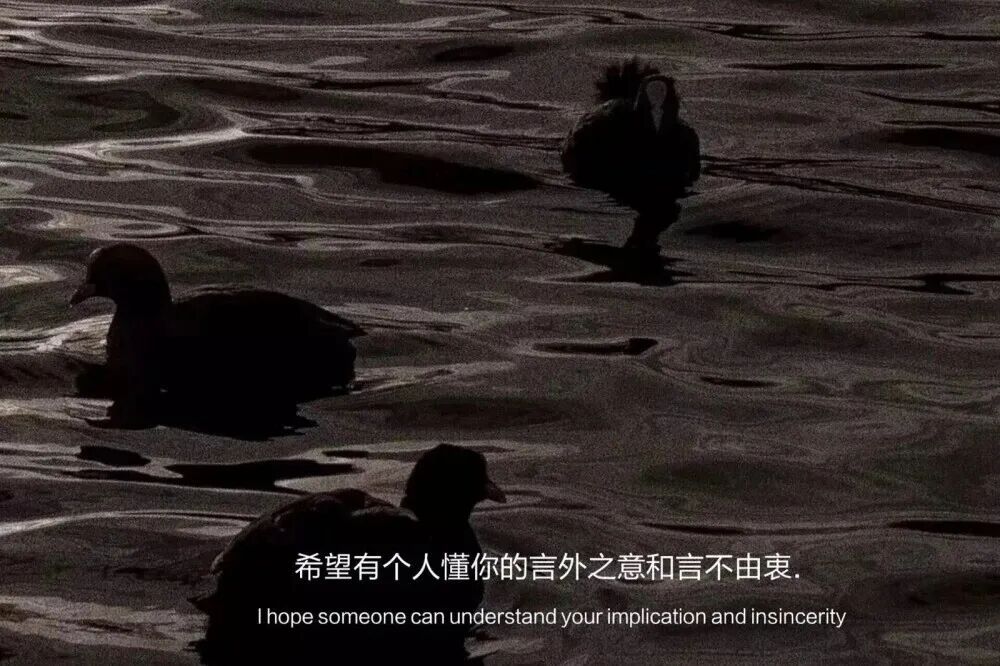 良言换得无心待，自此相逢少笑颜 