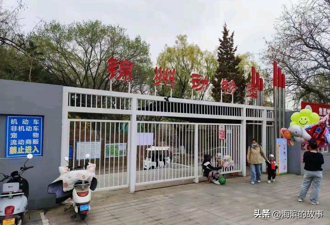 锦州动物园是锦州性价比最高的遛娃圣地了，门票一家人进去也买不来一盒好烟，但是给孩