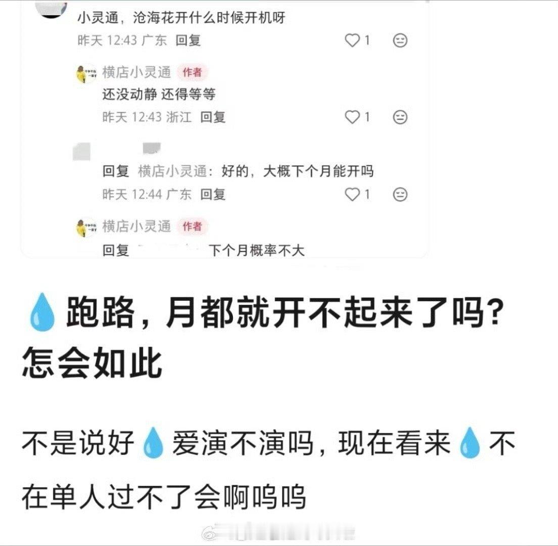 啊？月都花落女主李兰迪跑路开不起来了 黄了？？？当务之急不是应该先找女主吗 
