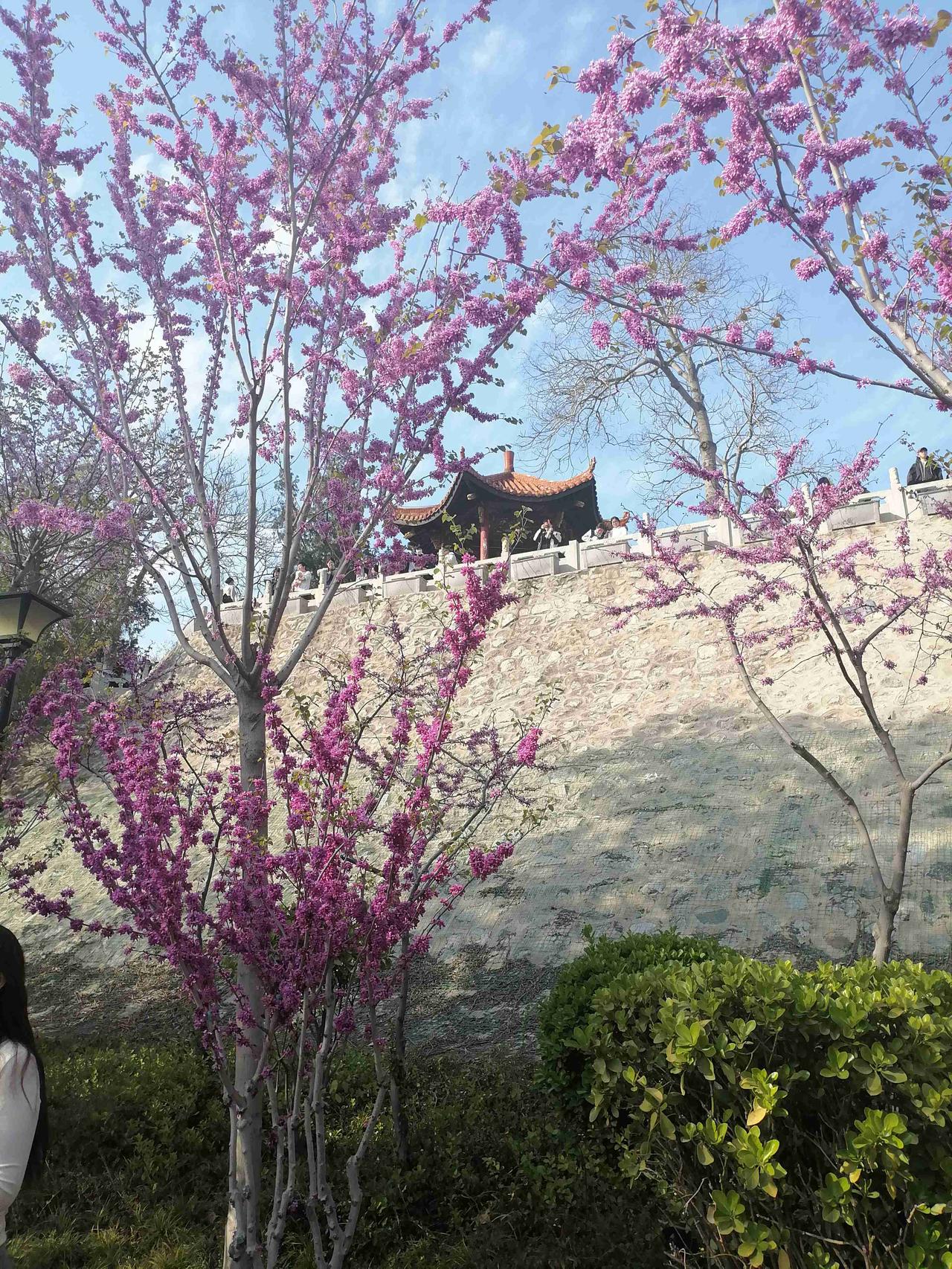 看着这商代的古城墙以及亭子，你能想象那个年代的古建筑吗？郑州市具有3600年的古