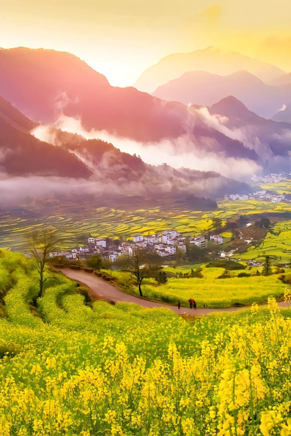 今天在家里面跟孩子讨论，为什么白头鹰是有钱人的天堂？很简单呀，因为人家是资本主义