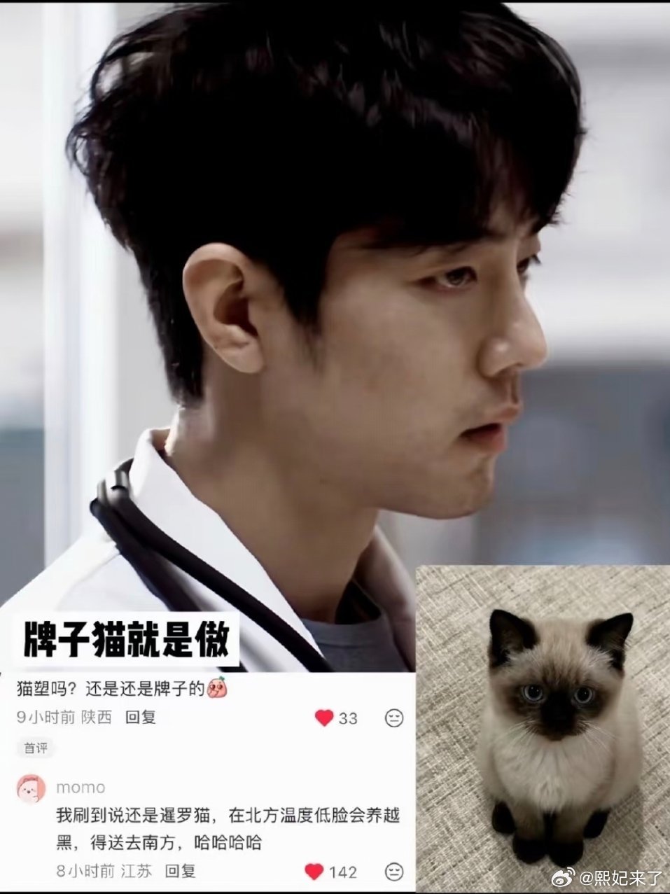 肖战认证刘铮亮是牌子猫第一个猫塑刘铮亮的真是天才啊[羞嗒嗒]肖战还是太会演了！ 