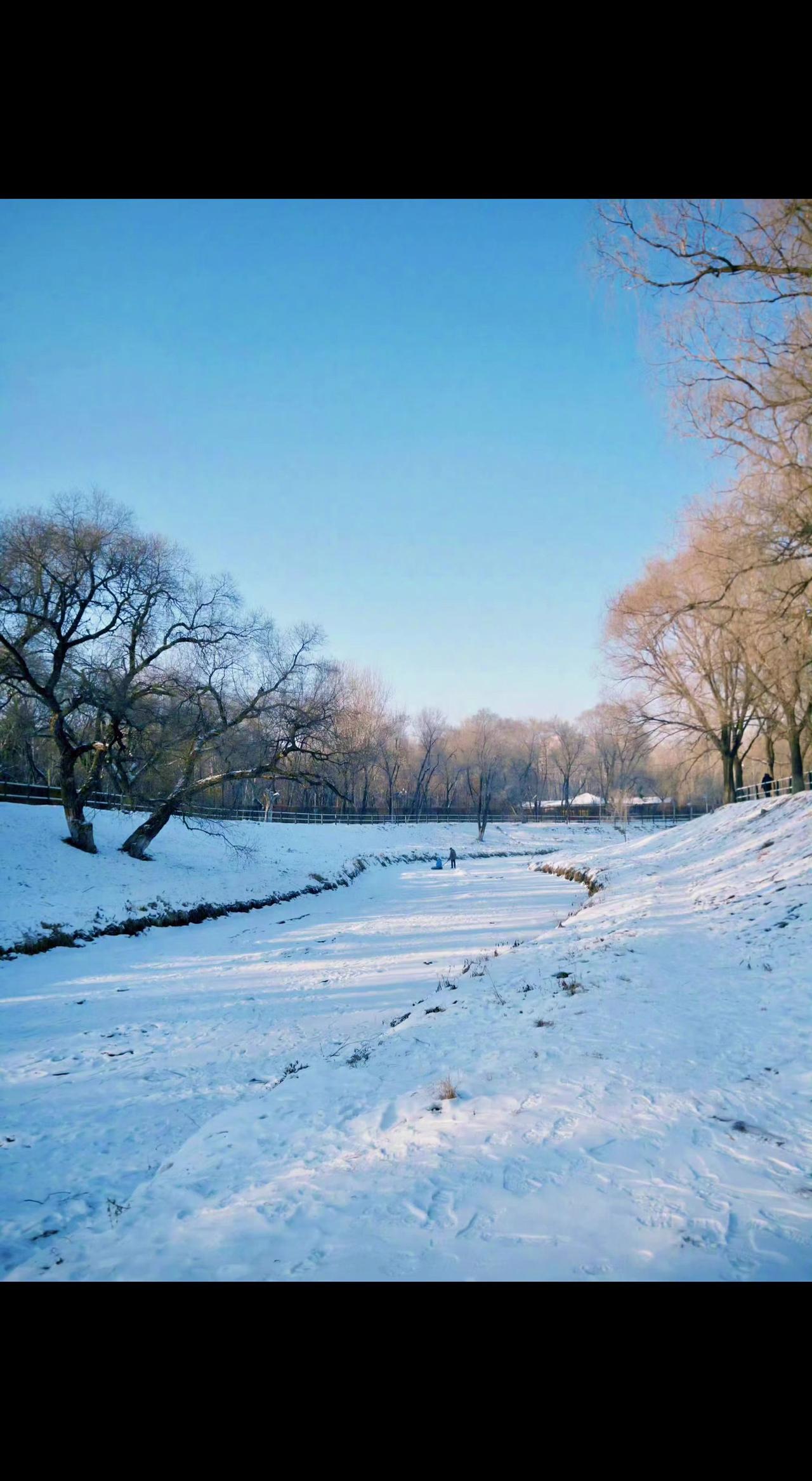 ❄️雪把阳光揉碎成星子✨，枯枝在蓝画布上写诗📖。脚印是大地的私语，寂静里藏着春