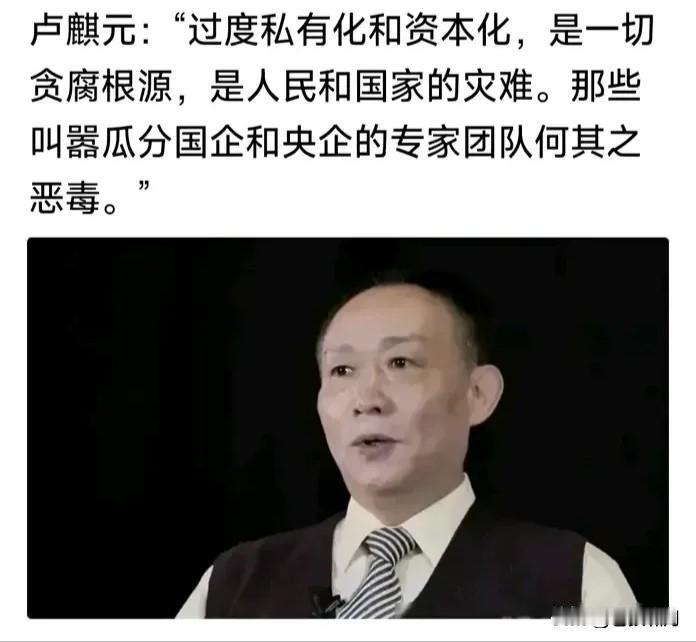 卢麒元:过度私有化与资本化，是一切贪腐的根源，是国家和人民的灾难！这话说的对吗？