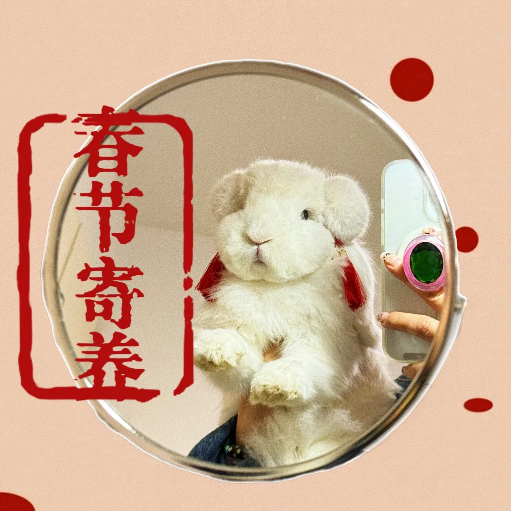 春节寄养预约