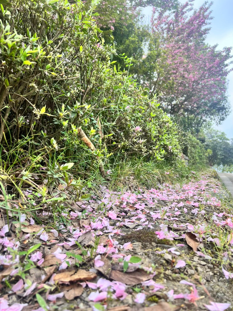 每日一善  生活里的善意从来都藏在细碎日常里：一句真诚的夸赞，一次包容的体谅，一