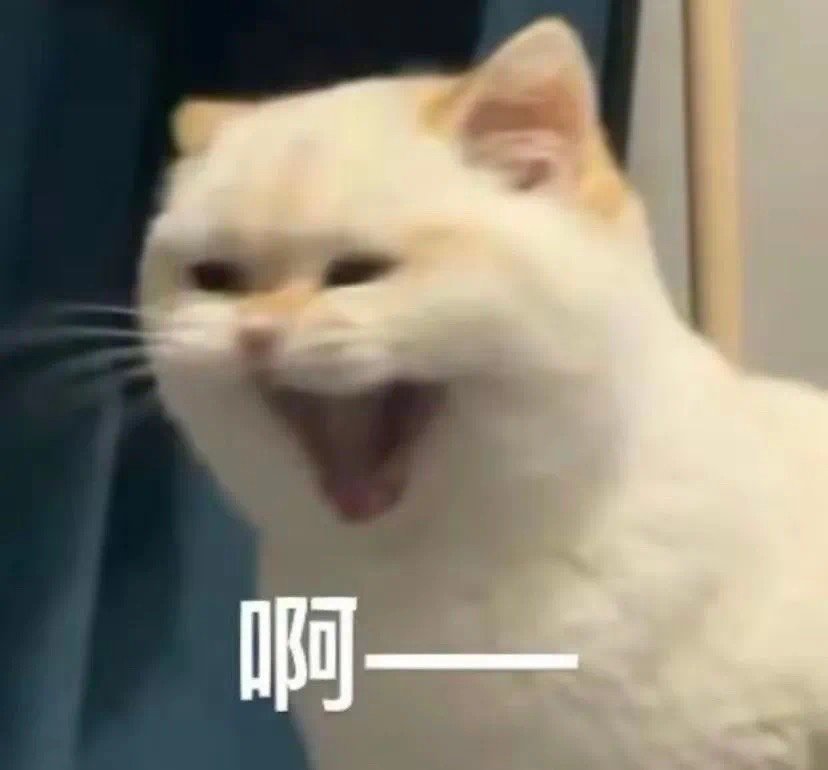 拿到全班毕业照的第一秒就想扔了 ​​​