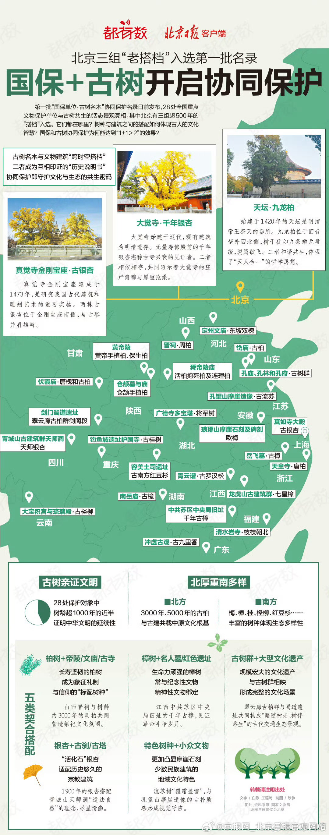 【#北京3古建古树搭档入国家级名录#】#北京天坛九龙柏组合上榜# 都有数｜ 北京