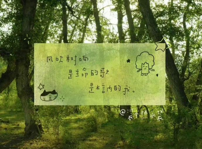 丰富一下夏日iPad壁纸吧 ‪.ᐟ‪.ᐟ 夏日企画