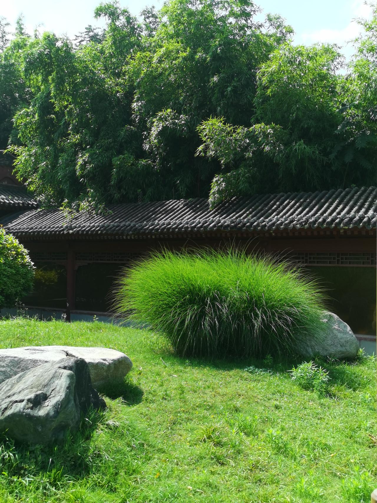夏天的味道随着时间不断地变化，就像红烧肉在锅里不断散发出越来越浓烈的香味一样。