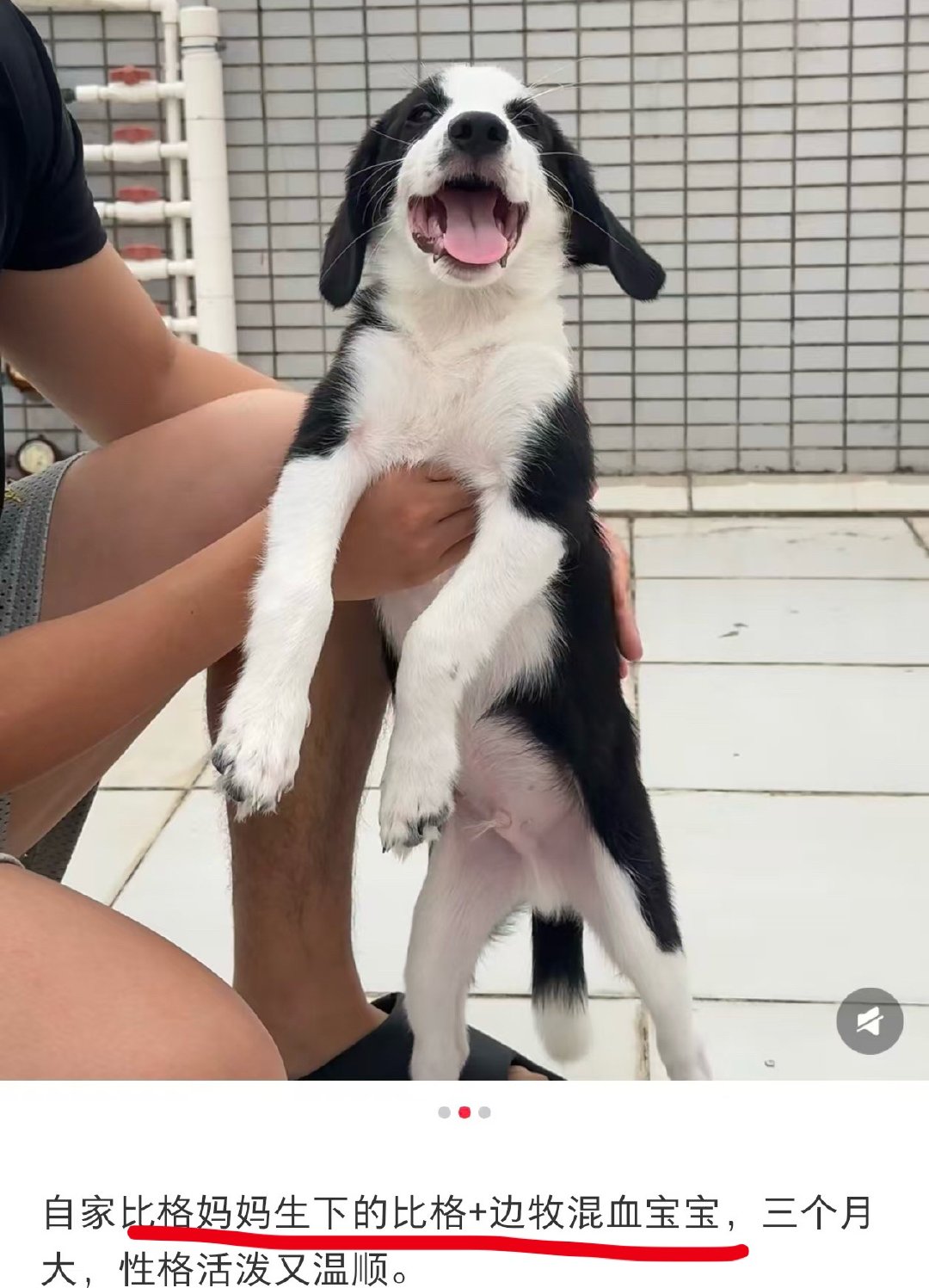 洋洋小时候