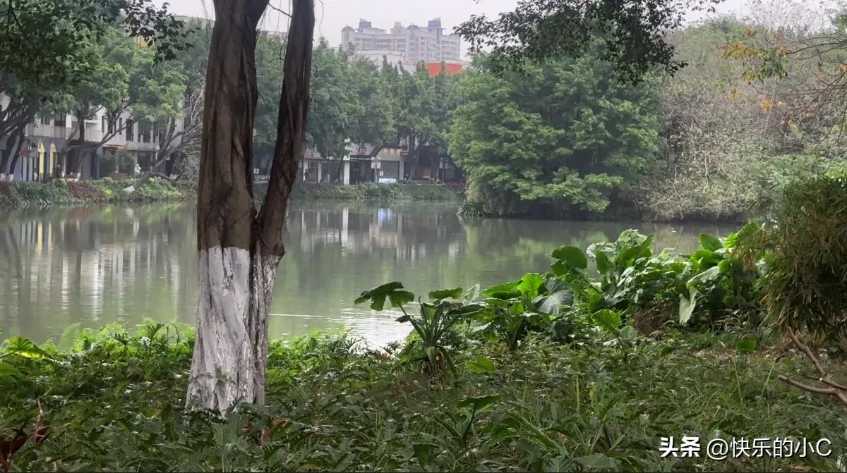 当然重要，而且比想的重要得多了。

你看，同样一件事，心态不一样，结果能差出十万