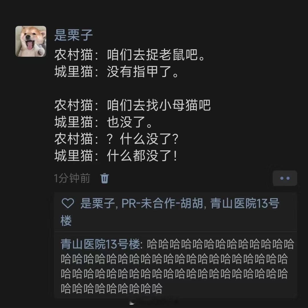 城里猫回农村过年哈哈哈哈哈哈哈哈哈哈哈哈哈绷不住了笑死我了 ​​​