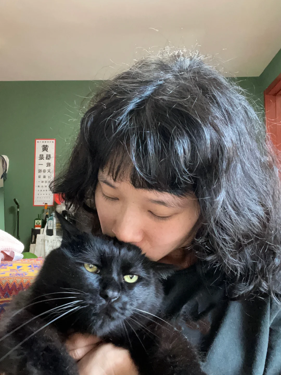 越来越觉得我家猫似乎对我有点意见