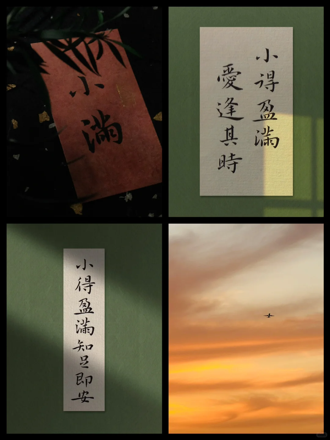 小得盈满，爱逢其时。人生小满胜万全