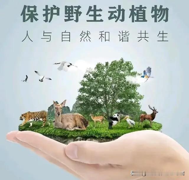 1次贪吃碰瓷维权！法院硬核判决，揭穿无数人的贪婪套路

明知是野生蛇类，偏偏主动