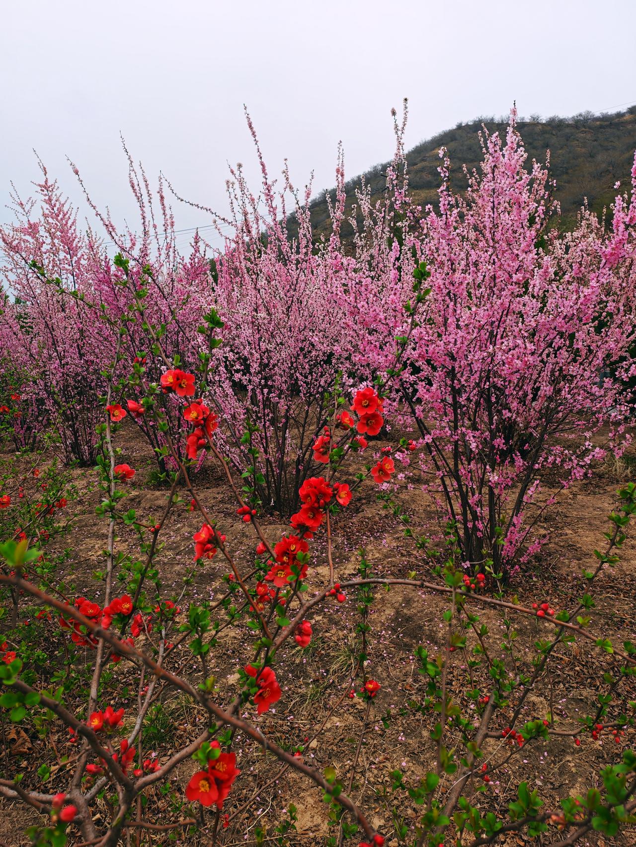 夫妻间最伤人的话语是什么