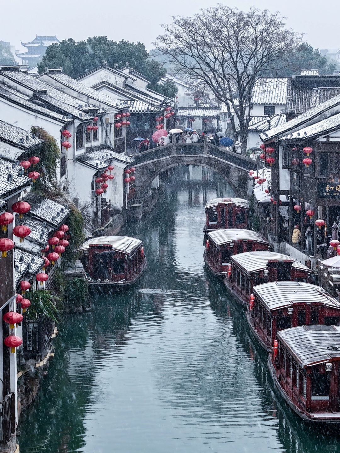 雪后的苏州就变成了古诗中的姑苏‼️附攻略📷