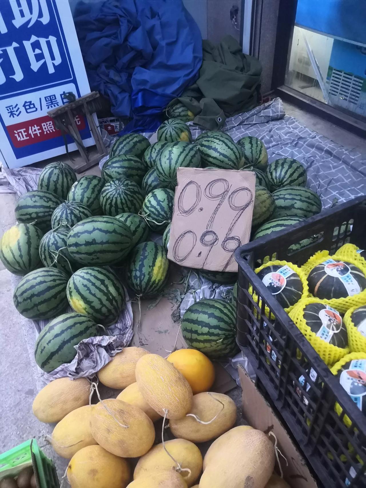 还不到六月，西瓜就这么便宜了？