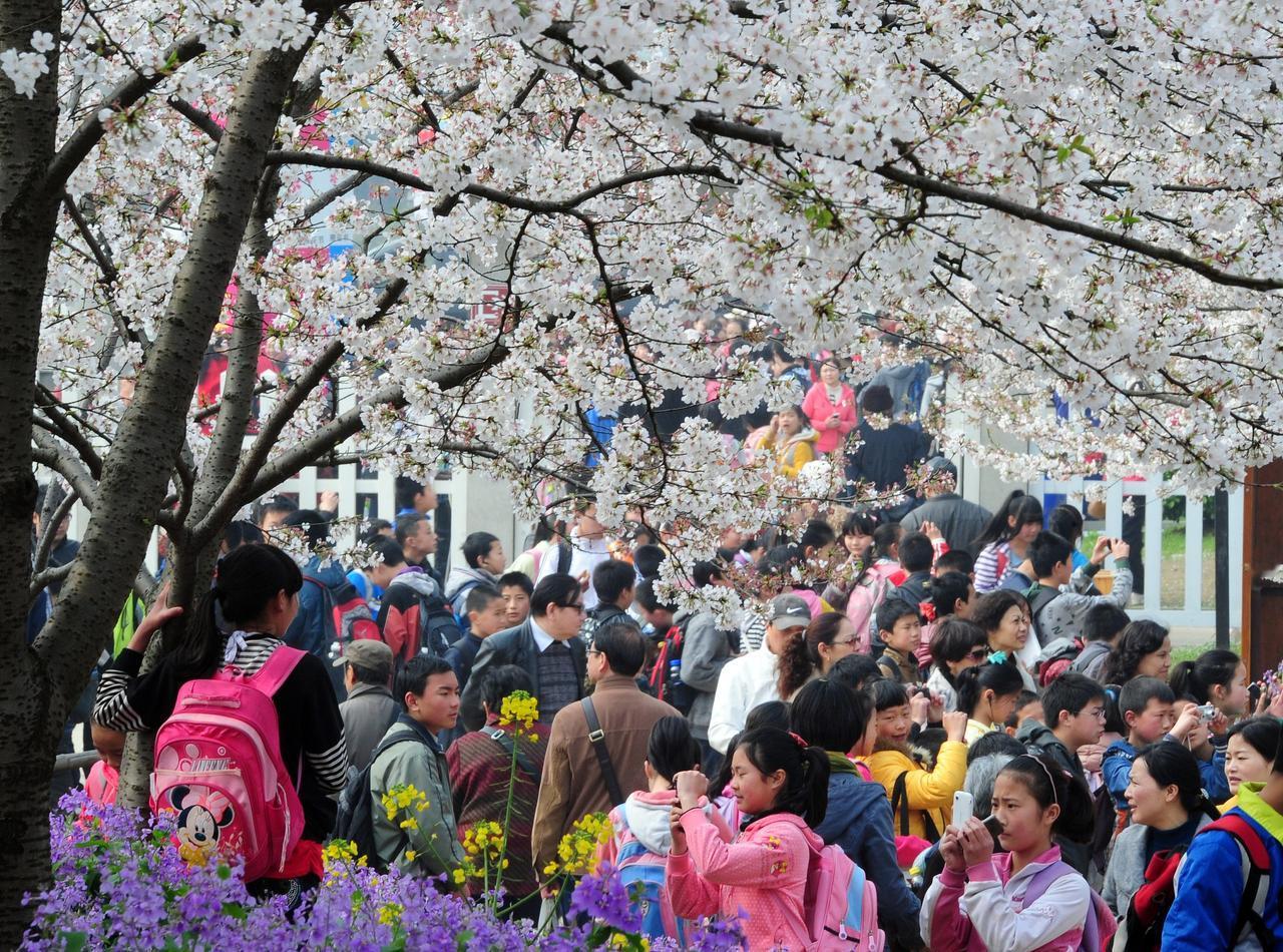 春假，一个诗意满满的名字，却成了部分家长的梦魇。她们不知怎样平衡工作与家庭，也不