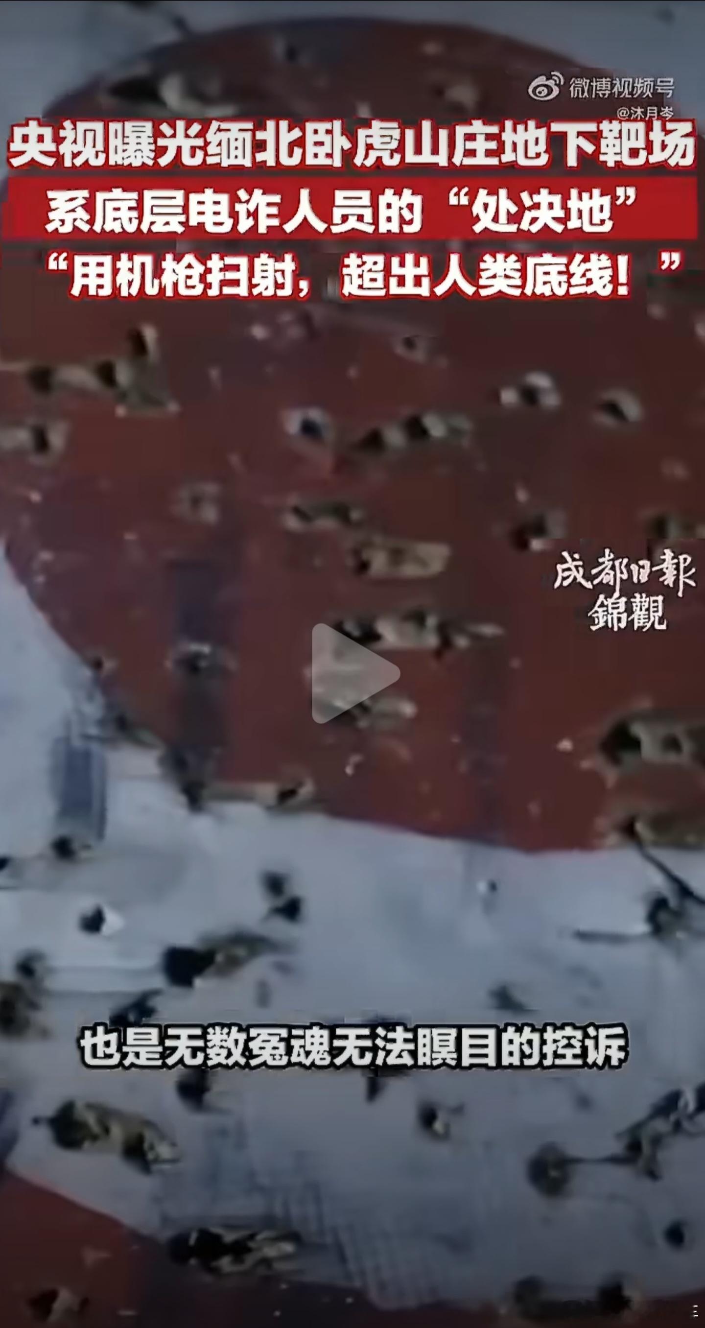 缅北电诈园区枪决底层人员骗普通人的钱，压榨底层电诈人员，最后连人命都可以随意处置